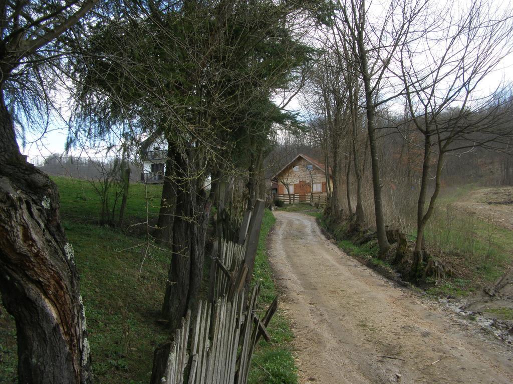 Guesthouse Kuzmanovic Guča 外观 照片