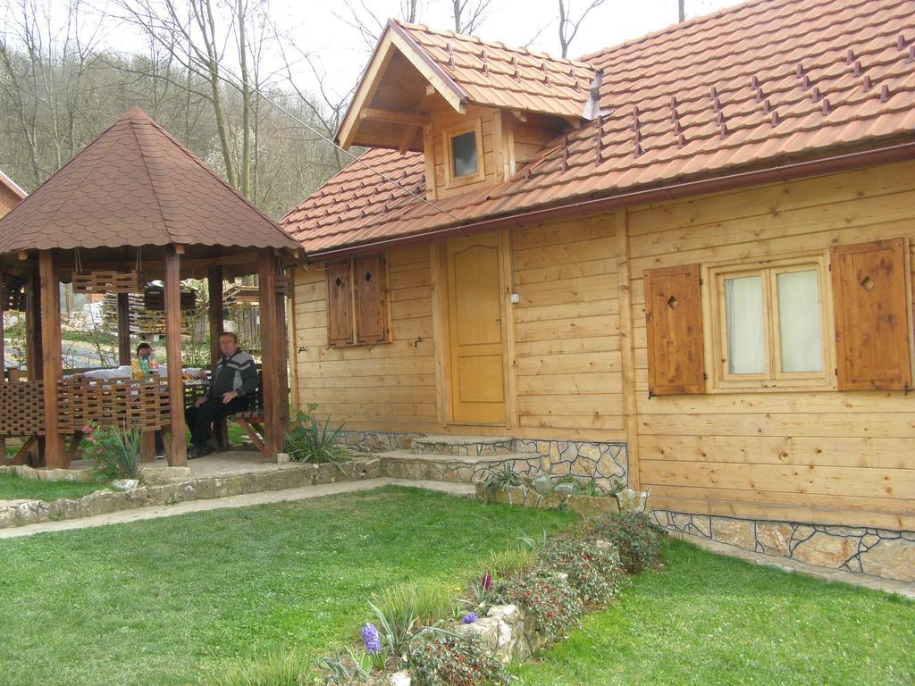 Guesthouse Kuzmanovic Guča 外观 照片