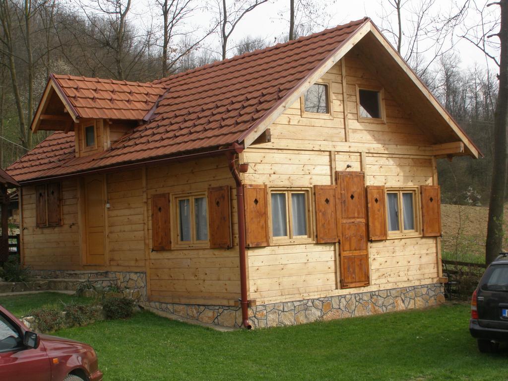 Guesthouse Kuzmanovic Guča 外观 照片
