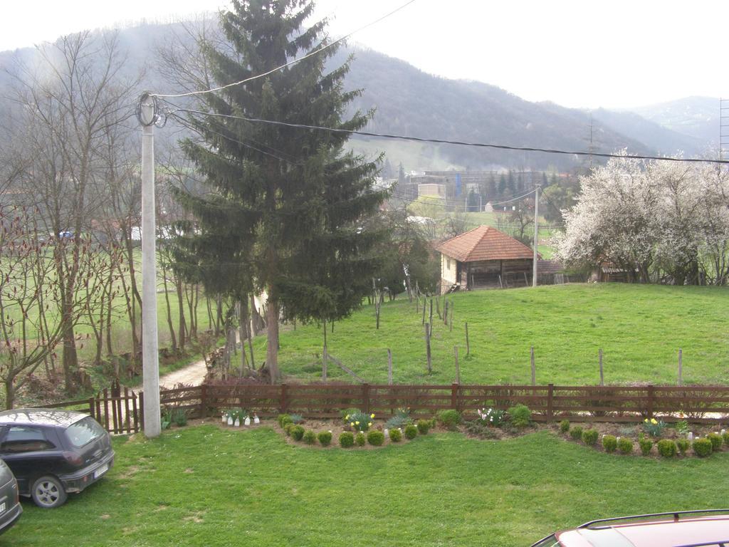 Guesthouse Kuzmanovic Guča 外观 照片