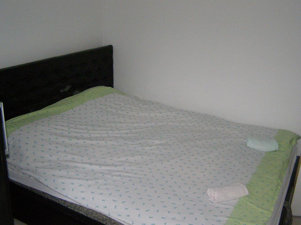 Guesthouse Kuzmanovic Guča 外观 照片