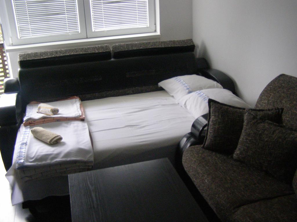 Guesthouse Kuzmanovic Guča 外观 照片