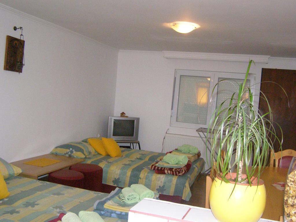Guesthouse Kuzmanovic Guča 外观 照片