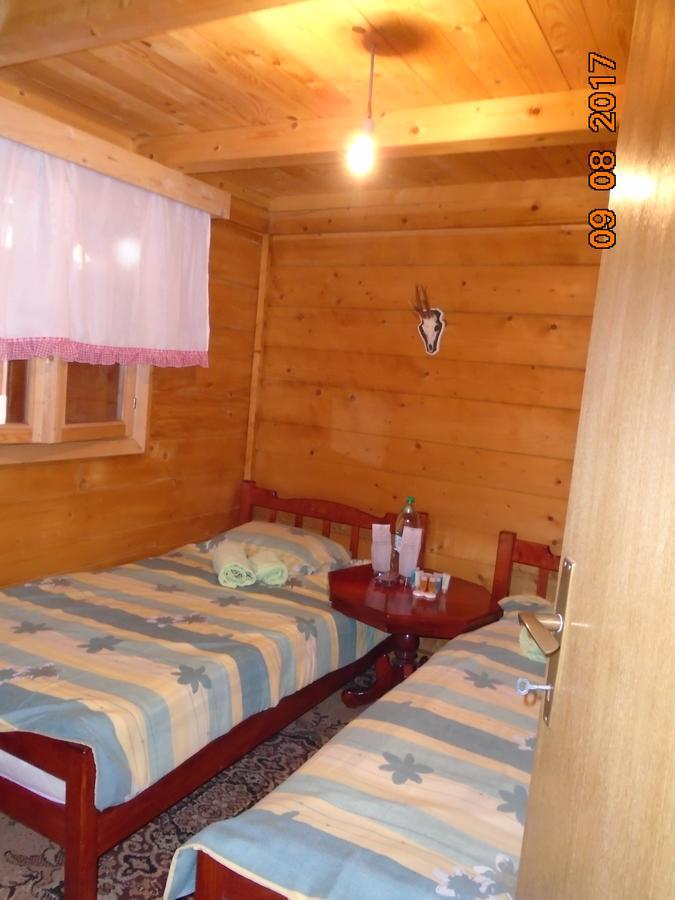 Guesthouse Kuzmanovic Guča 外观 照片