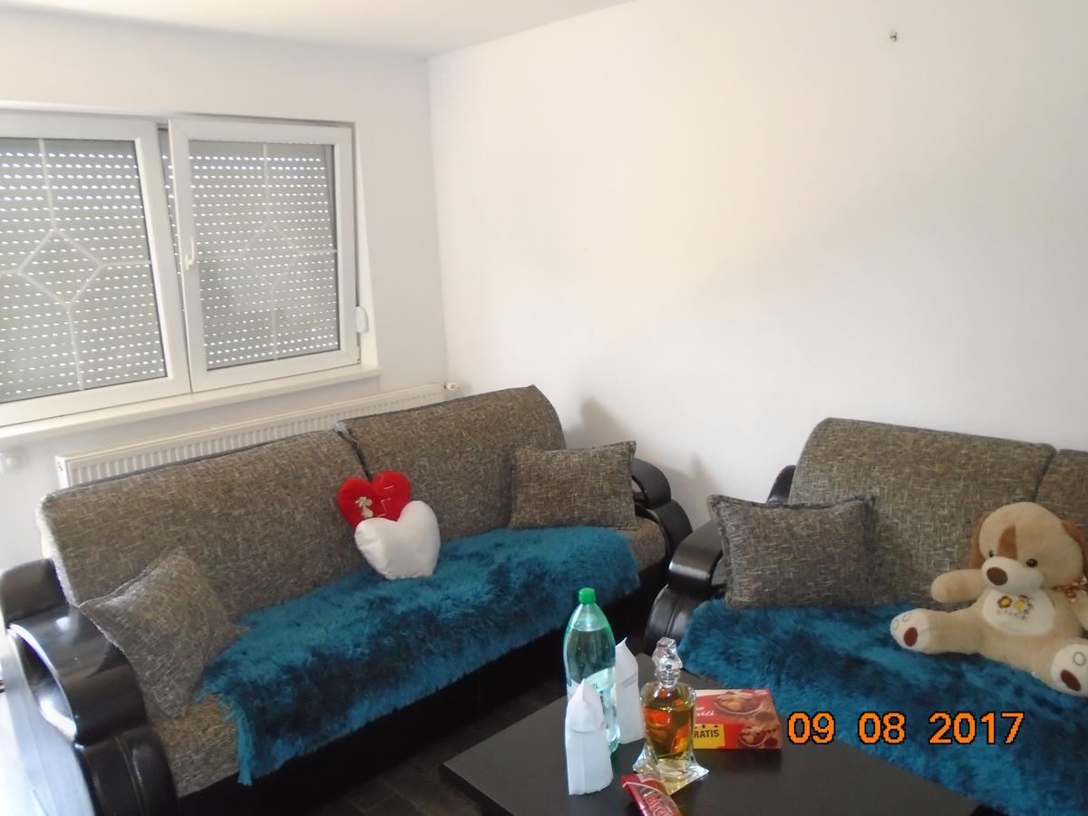 Guesthouse Kuzmanovic Guča 外观 照片