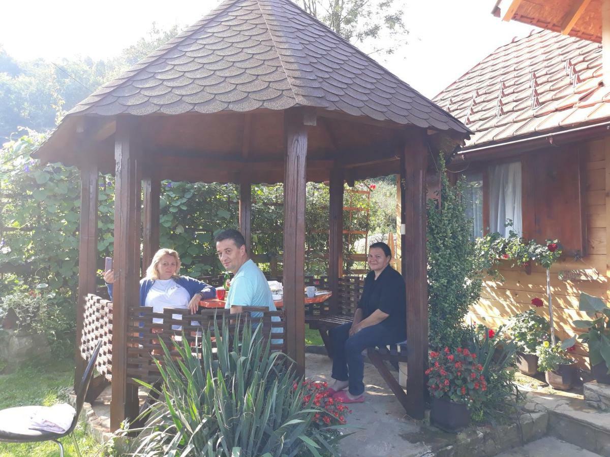 Guesthouse Kuzmanovic Guča 外观 照片