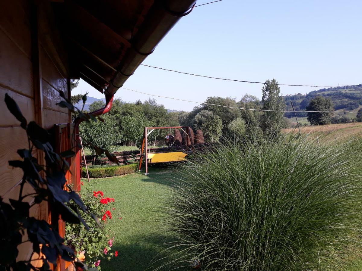 Guesthouse Kuzmanovic Guča 外观 照片