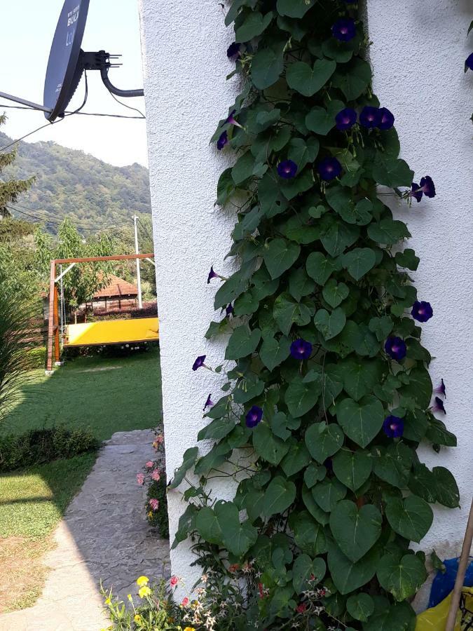 Guesthouse Kuzmanovic Guča 外观 照片