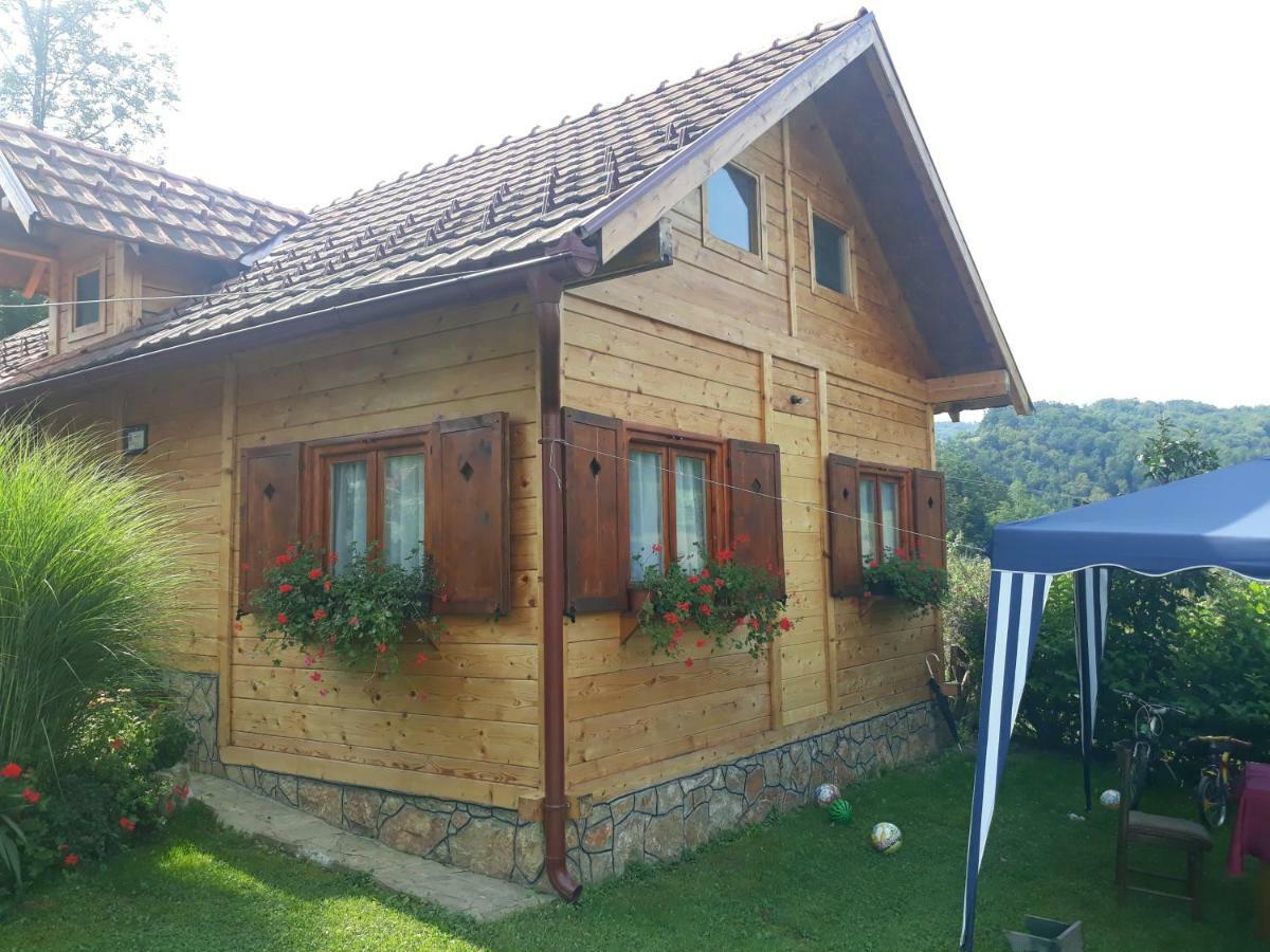 Guesthouse Kuzmanovic Guča 外观 照片