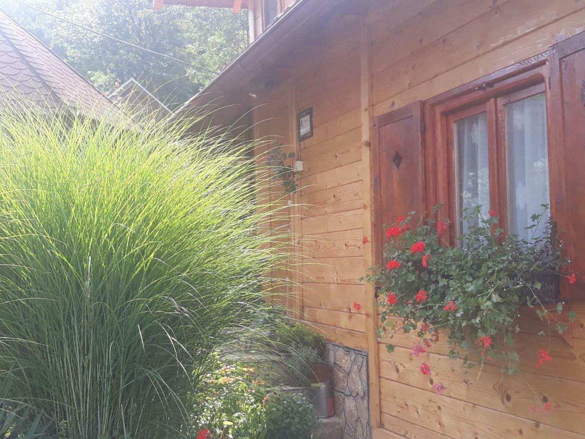 Guesthouse Kuzmanovic Guča 外观 照片
