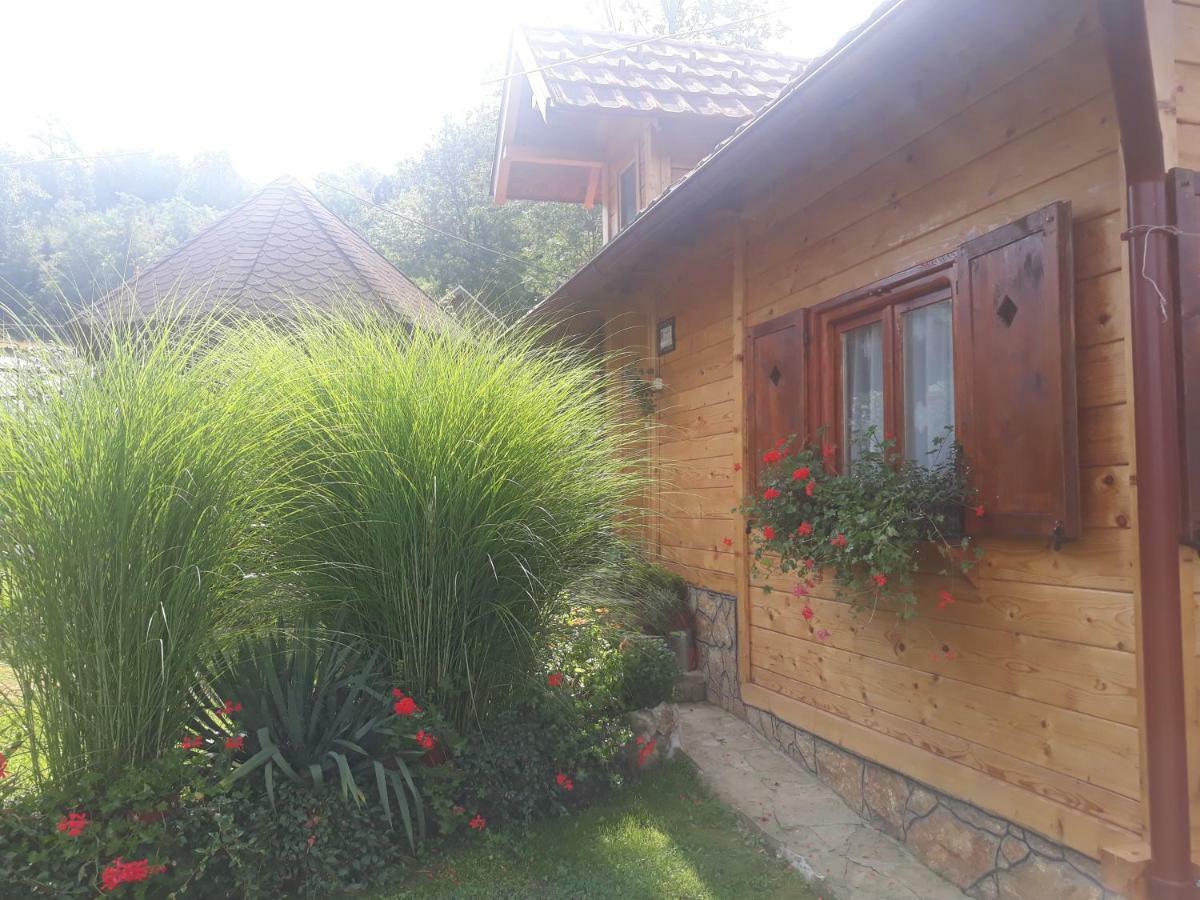 Guesthouse Kuzmanovic Guča 外观 照片