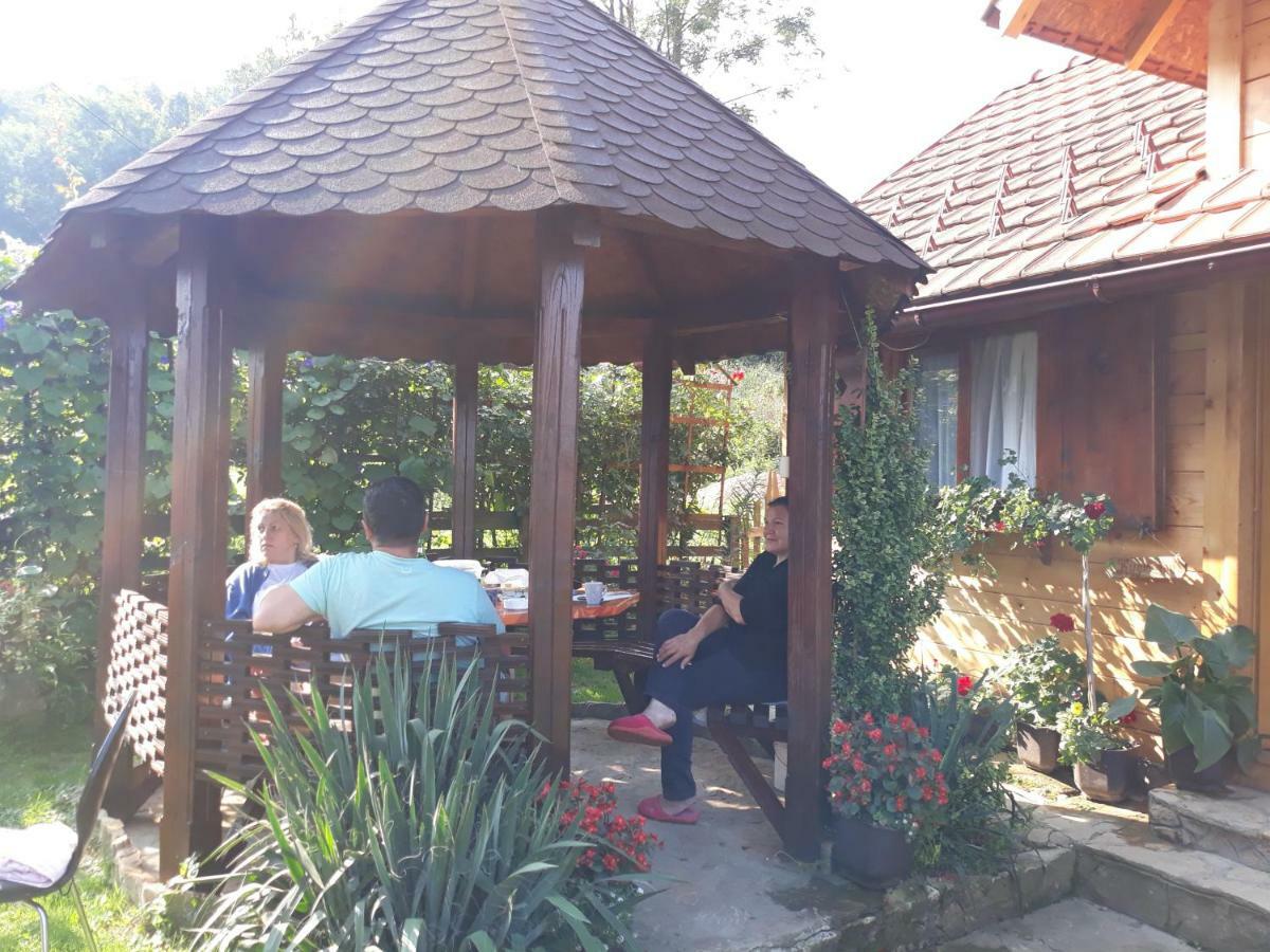 Guesthouse Kuzmanovic Guča 外观 照片