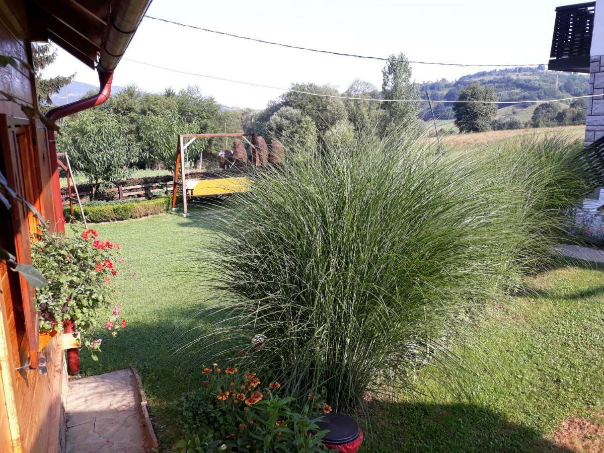 Guesthouse Kuzmanovic Guča 外观 照片