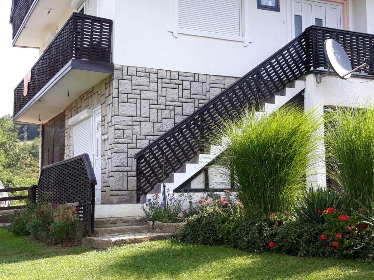 Guesthouse Kuzmanovic Guča 外观 照片
